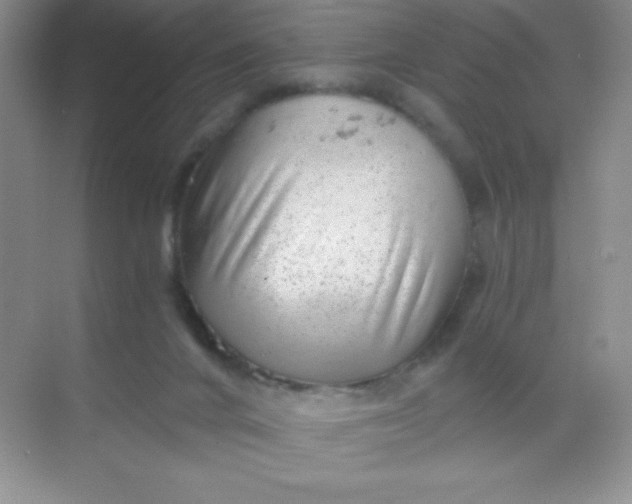 X0000068850024200605192003