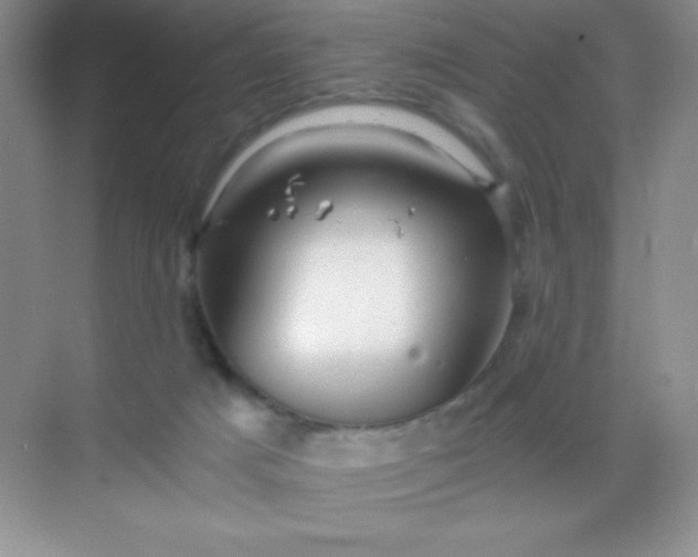 X0000068850025200605192003