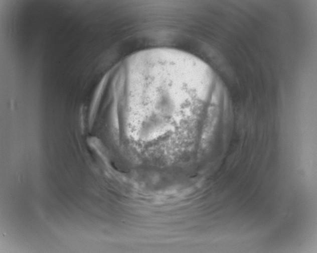 X0000068850026200605192003