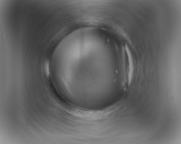 X0000068850027200605192003