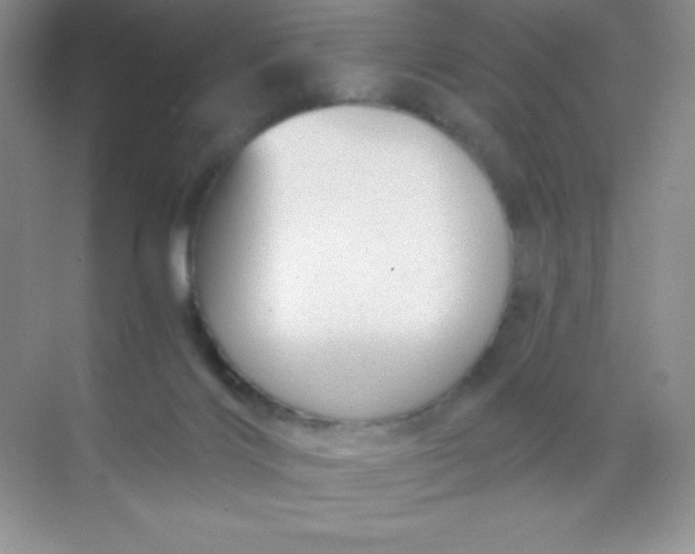 X0000068850028200605192003