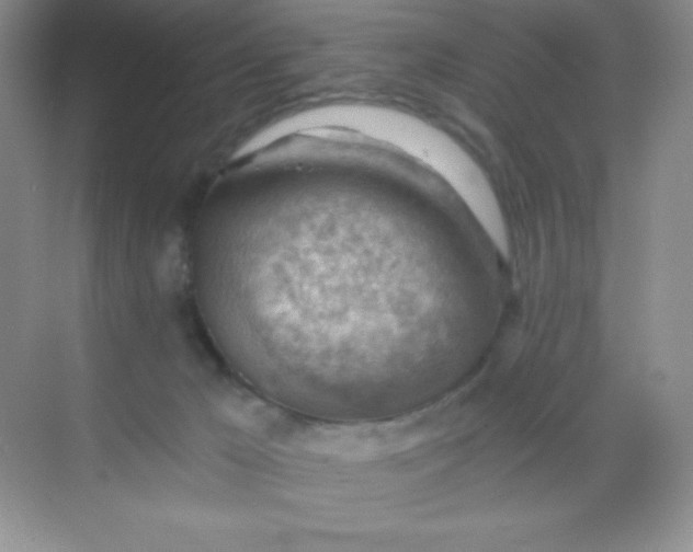 X0000068850029200605192003