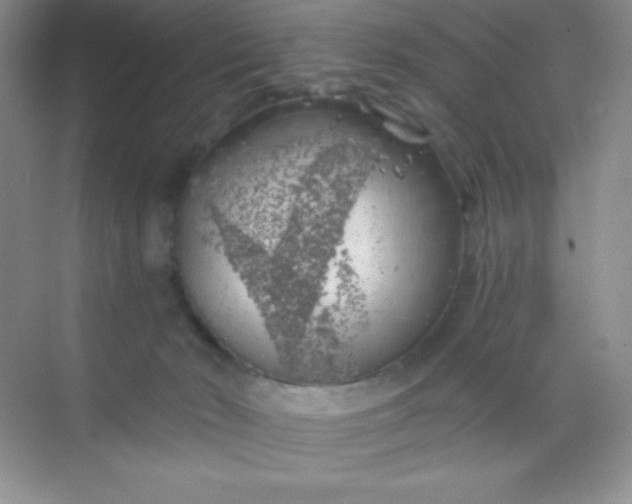 X0000068850030200605192003