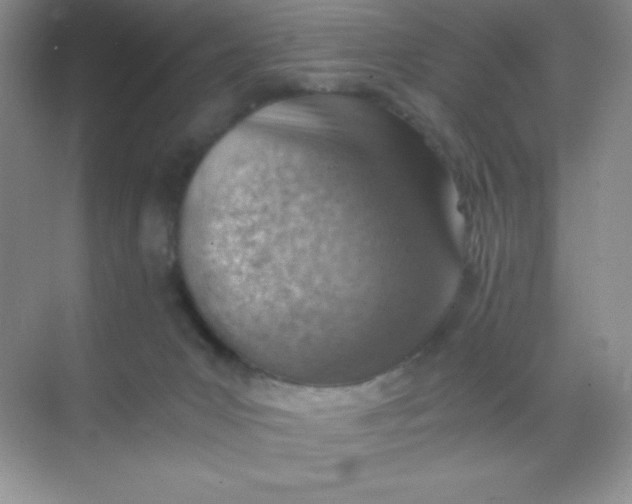 X0000068850031200605192003