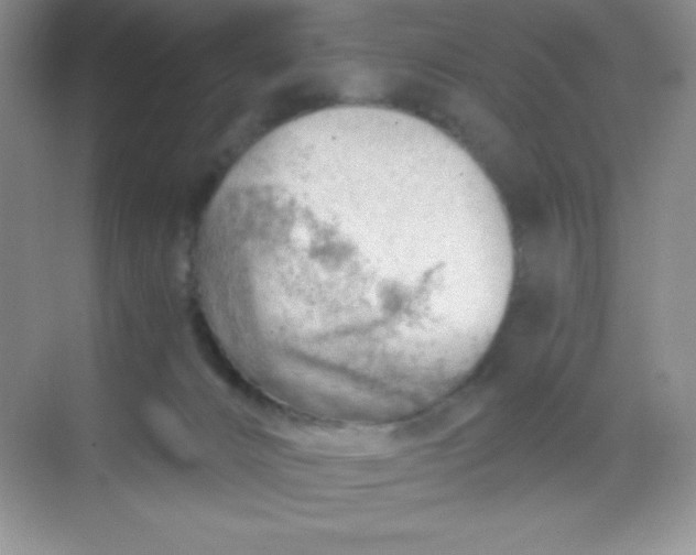 X0000068850032200605192003