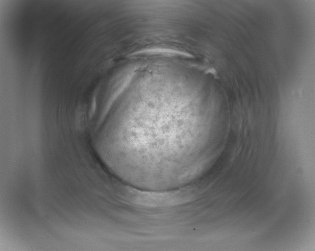 X0000068850034200605192003