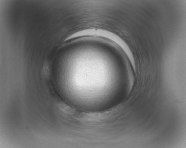 X0000068850037200605192003