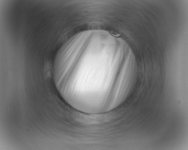 X0000068850038200605192003