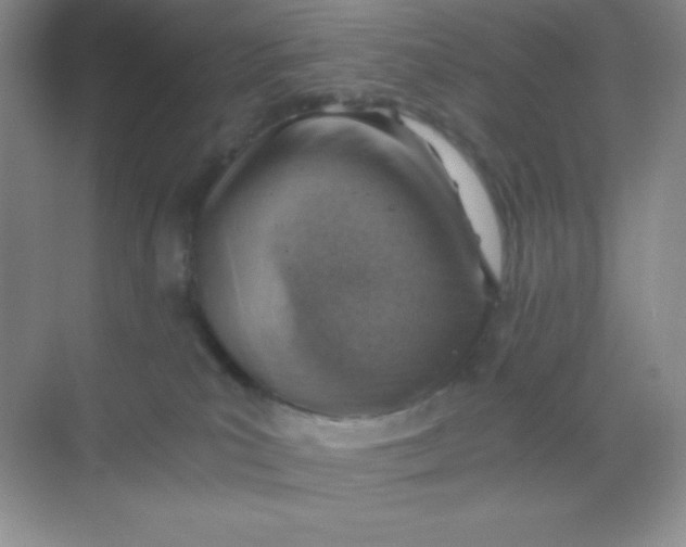 X0000068850039200605192003