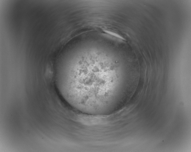 X0000068850040200605192003