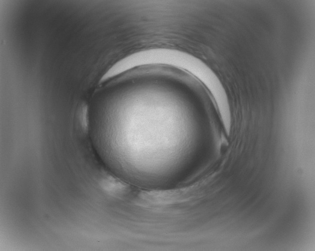 X0000068850041200605192003