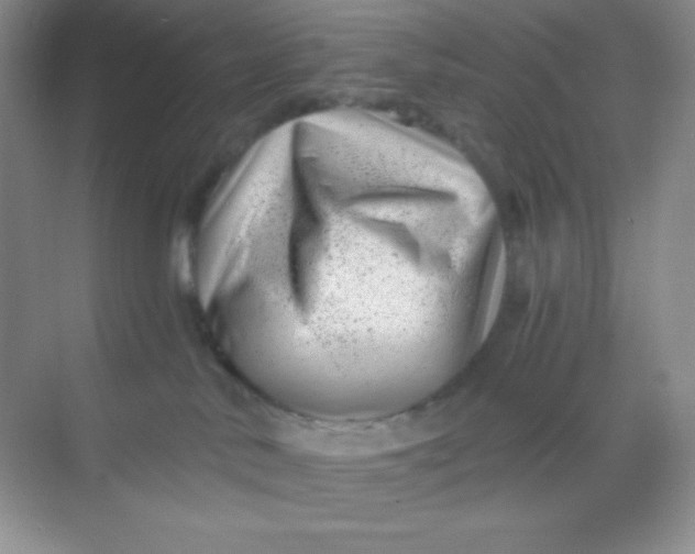 X0000068850042200605192003