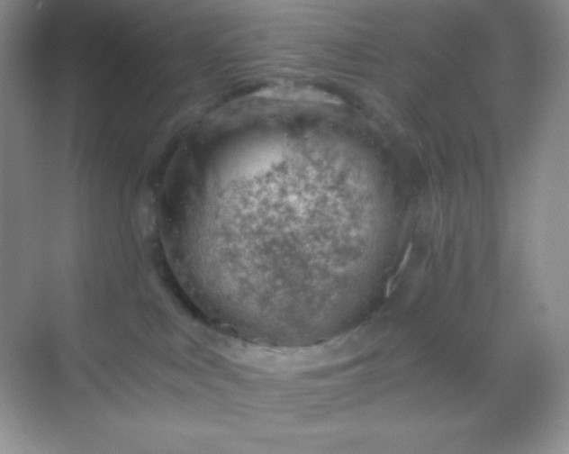 X0000068850043200605192003