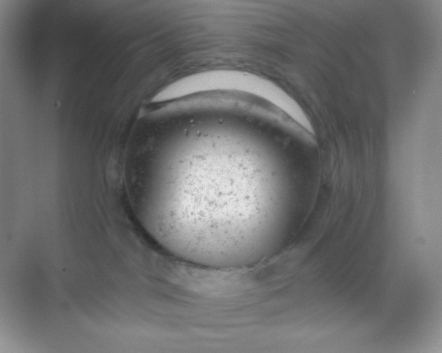 X0000068850044200605192003