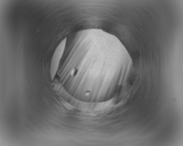 X0000068850045200605192002