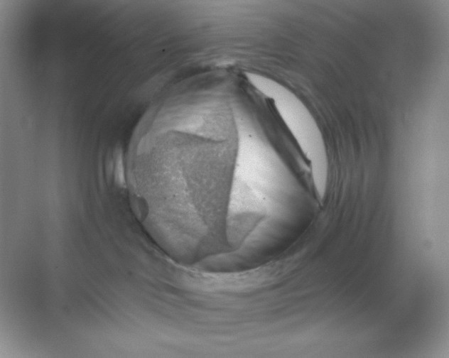 X0000068850046200605192002