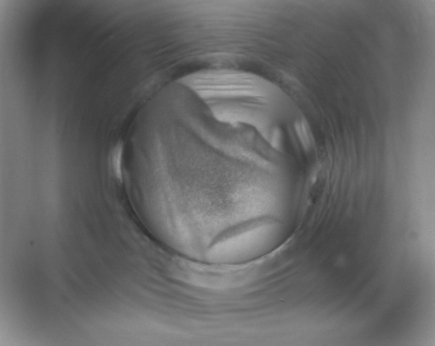 X0000068850047200605192002