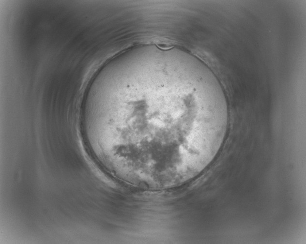 X0000068850049200605192002