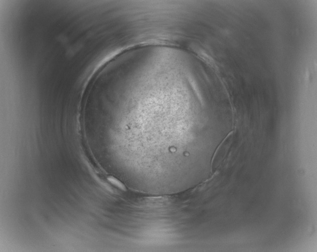 X0000068850050200605192002