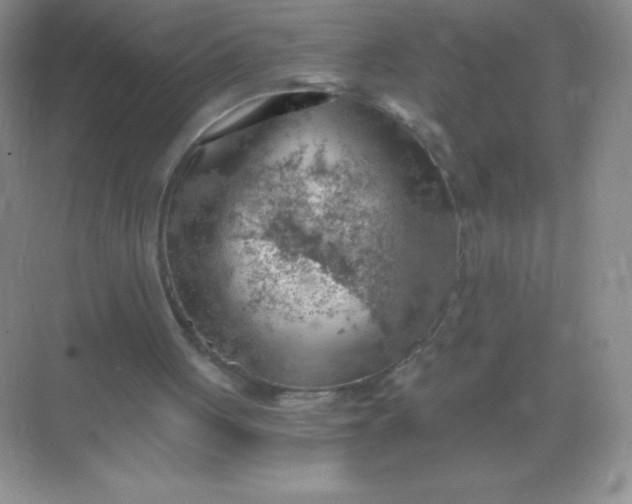 X0000068850051200605192002