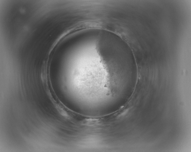 X0000068850052200605192002