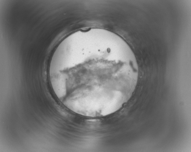 X0000068850053200605192002