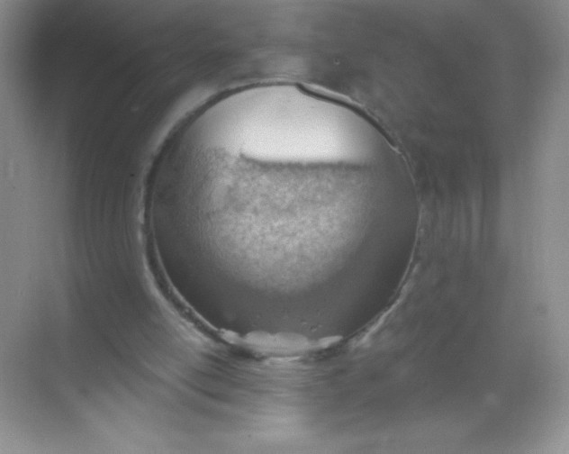 X0000068850054200605192002