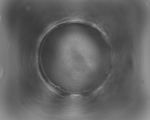 X0000068850055200605192002