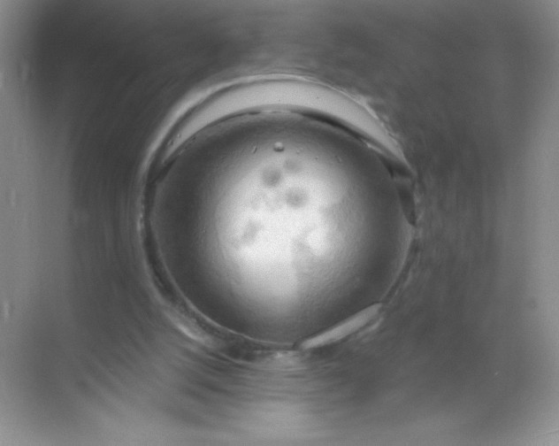 X0000068850056200605192002