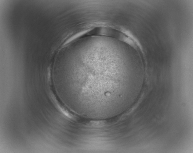 X0000068850057200605192002