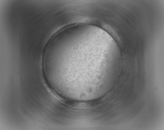 X0000068850058200605192002