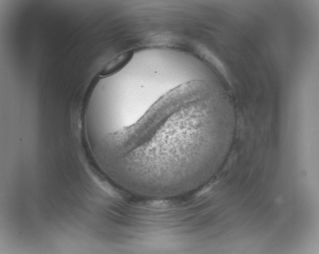 X0000068850059200605192002