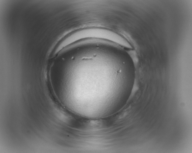 X0000068850060200605192002