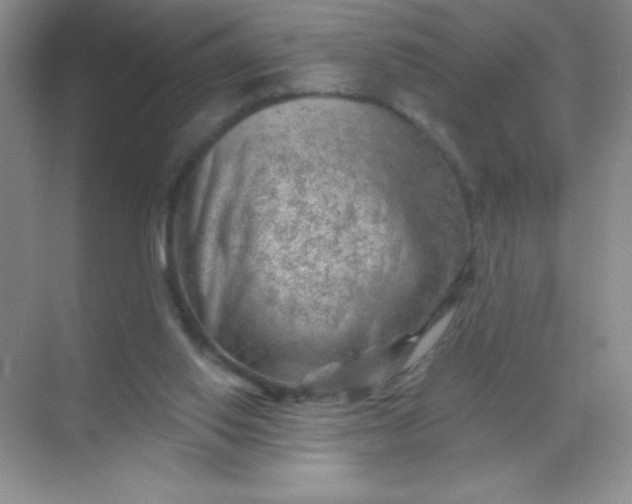 X0000068850062200605192002