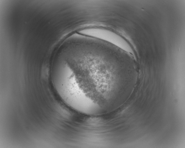 X0000068850063200605192002