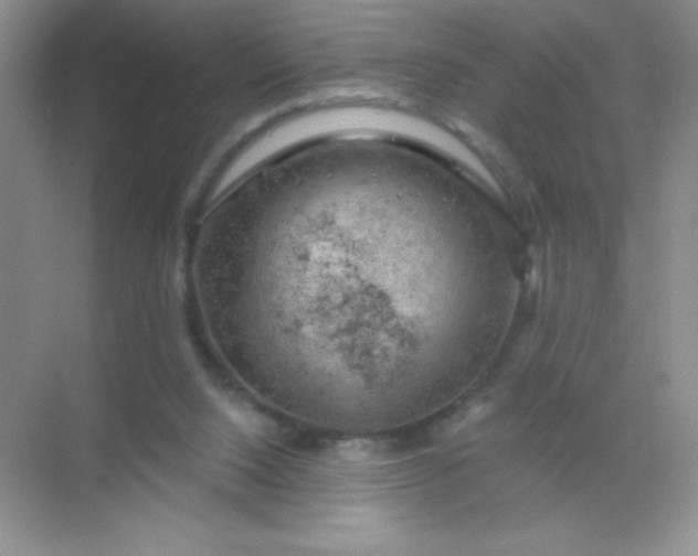 X0000068850064200605192002