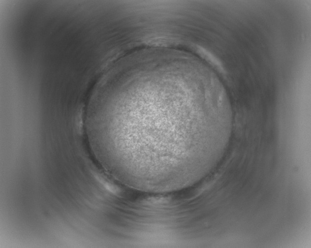 X0000068850065200605192002