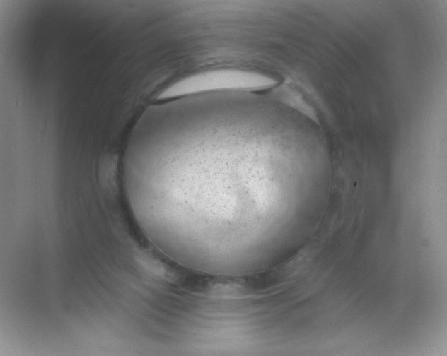 X0000068850066200605192002