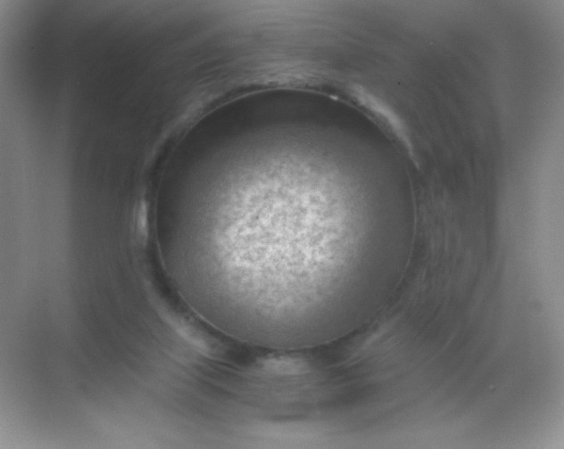 X0000068850067200605192002