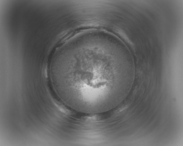 X0000068850068200605192002