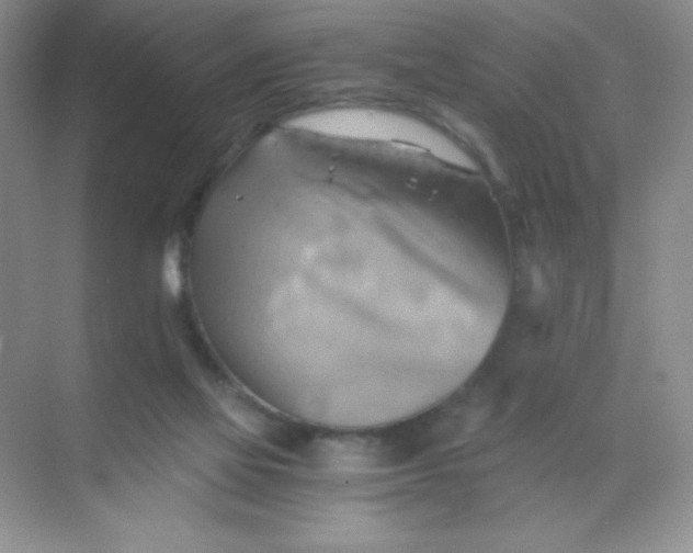 X0000068850069200605192002