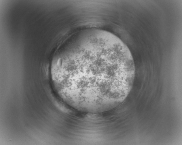 X0000068850070200605192002