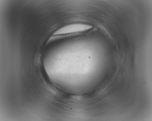 X0000068850071200605192002