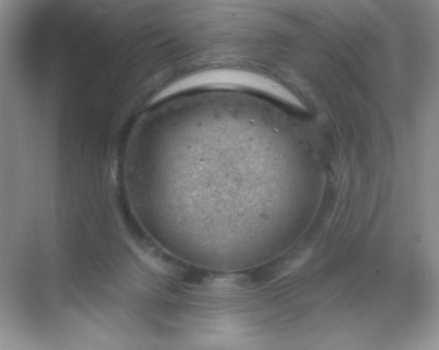 X0000068850072200605192002