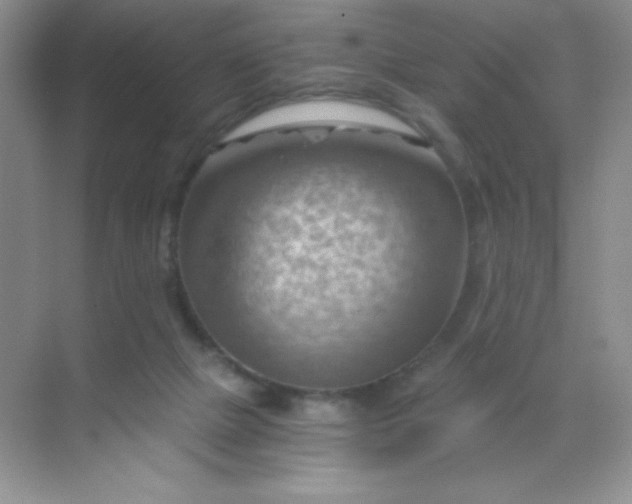 X0000068850073200605192002