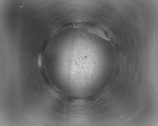 X0000068850075200605192002