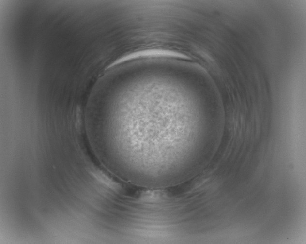 X0000068850077200605192002