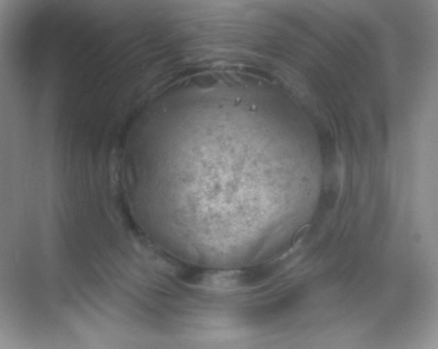 X0000068850078200605192002