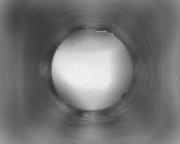 X0000068850079200605192002