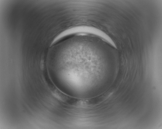 X0000068850080200605192002